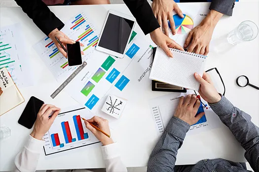 Project Management and Consulting